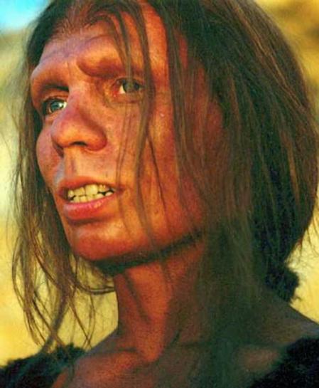 Homo Sapiens Neanderthalensis: Same Species, Us.